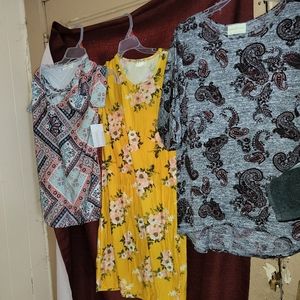 Small top lot
